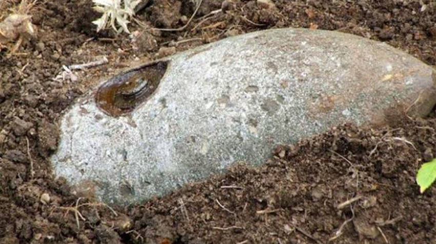 2 KM İçindeki Herkes Tahliye Edilecek