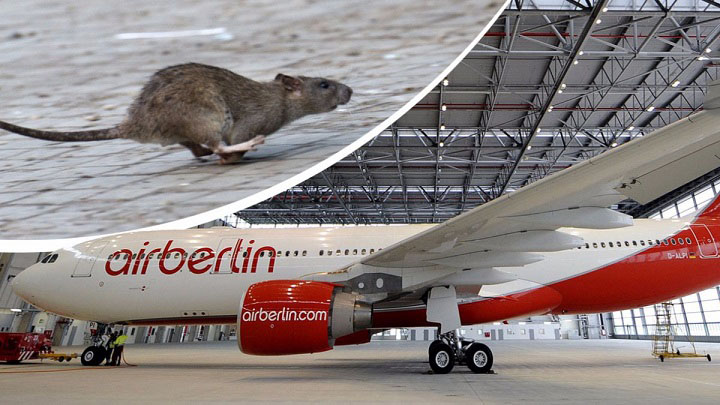 Air Berlin’in “Küçük” Sorunu