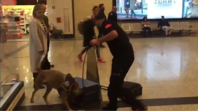 Avusturya’dan Sonra Alman Yolculara ‘köpekli arama’ Mütekabiliyeti