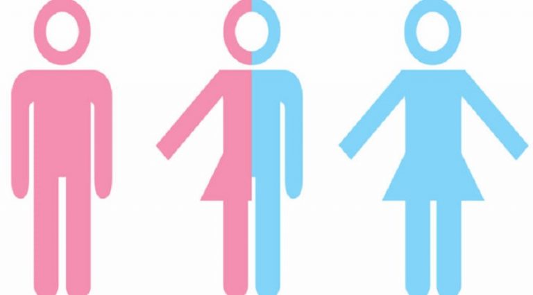 İngiltere ve Yeni Zelanda havayollarında cinsiyet seçeneği üçe çıktı: Kadın, erkek ve ‘X’