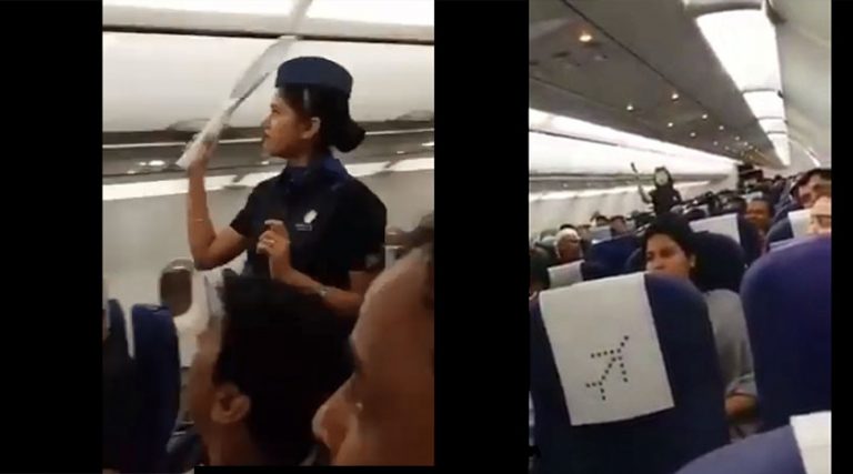 IndiGo uçağını sivrisinekler bastı