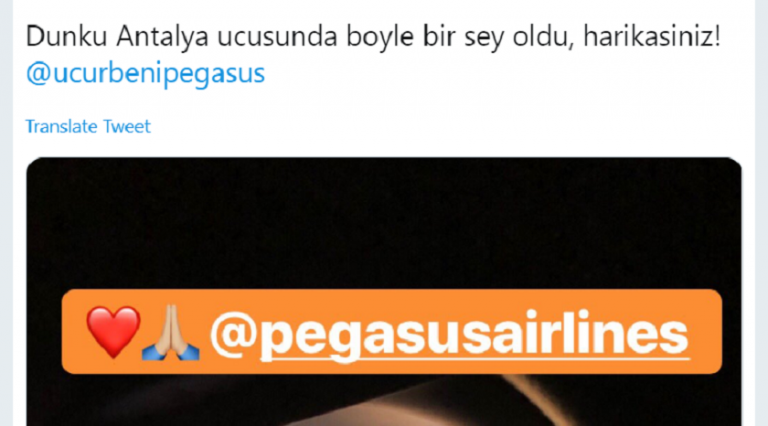 Pegasus ekibinden kalpleri fetheden hareket