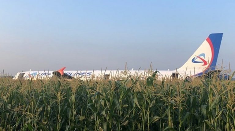 Kuş sürüsüne çarpan yolcu uçağı mısır tarlasına indi