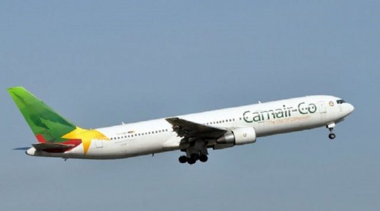 Camair-Co özelleştirilme sürecinde