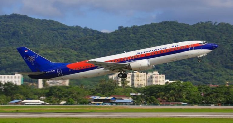 Endonezya’da B737-500 tipi yolcu uçağı düştü