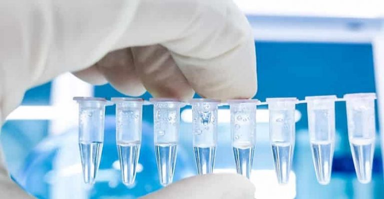 Türkiye’ye girişlerde PCR testi zorunluğunun süresi 31 Mayıs’a kadar uzatıldı