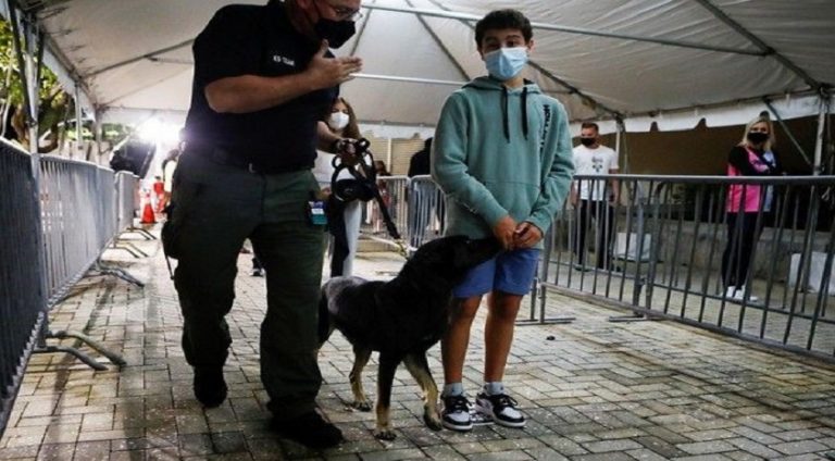 İsviçre ,covid-19’u özel eğitimli köpeklerle takip edecek