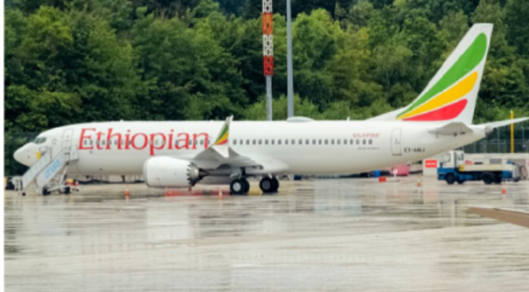 Fransız BEA(Kaza Araştırma Birimi), Yayımlanan Etiyopya Havayolları MAX Kazası Raporundan Mutsuz!