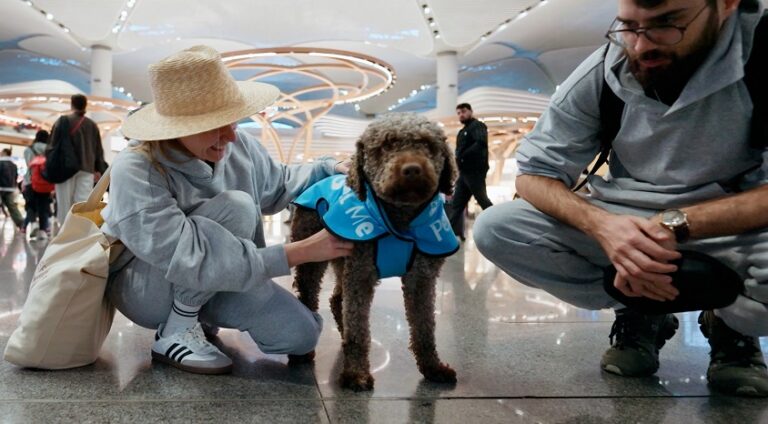 İGA İstanbul Havalimanı Terapi Köpekleri Uçuş Stresini Azaltmak İçin Göreve Hazır! (video)