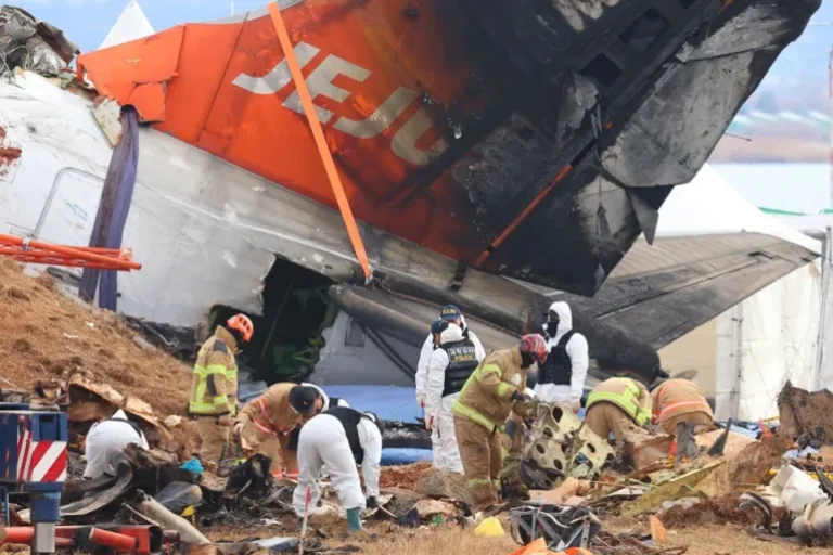 Güney Kore, Jeju Hava Yolları kazasıyla ilgili bağımsız bir soruşturma başlatıyor