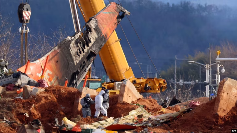 Güney Kore’de 179 kişinin ölümüne yol açan yolcu uçağının motorunda kuş tüyleri bulundu