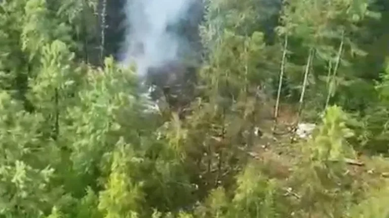 Rusya’da 49 kişiyi taşıyan yolcu uçağı düştü