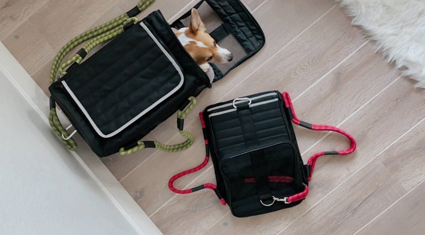 Ajet: Uçuşlarda 1 Eylül’den sonra ‘AVIH’ canlı hayvan taşıma hizmeti verilmeyecek