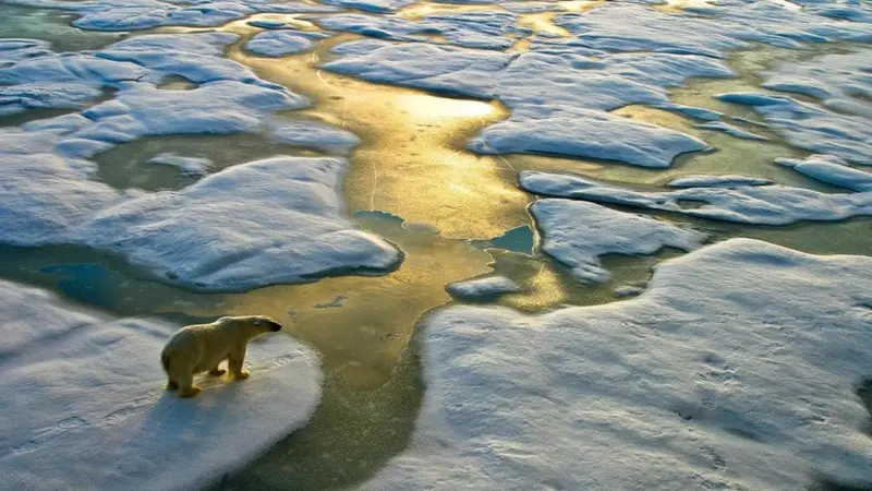 İklim çöküşünden NATO’nun sonuna: Finlandiya, 2045’te dünya için senaryolar çiziyor