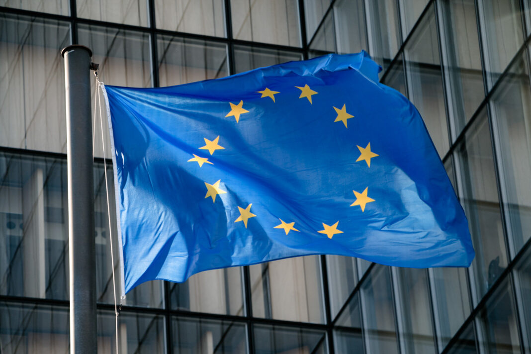 AB mahkemesi, evcil hayvanların hava taşımacılığında yasal olarak “bagaj” olarak kabul edildiğine karar verdi