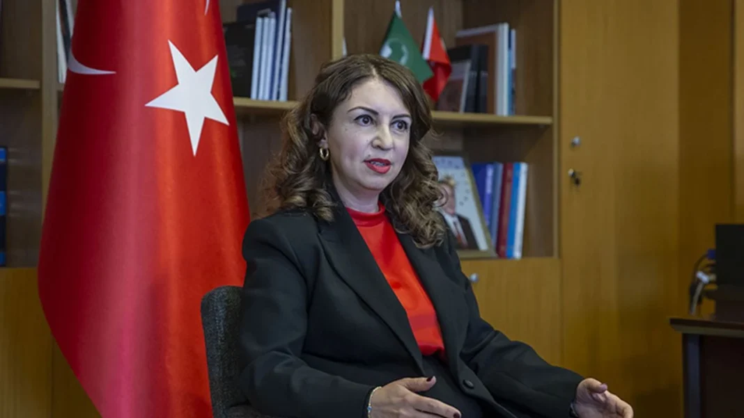 ICAO Nezdinde Türkiye Cumhuriyeti Daimi Temsilciliğine Şebnem Cenk atandı