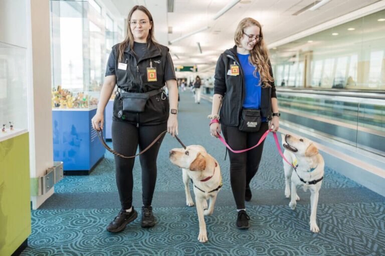 Vancouver Havalimanı, köpek eğitimiyle erişilebilirliği güçlendiriyor