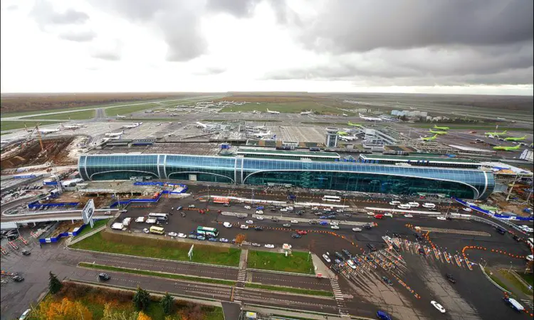 Domodedovo Havalimanı açık artırmayla satılacak