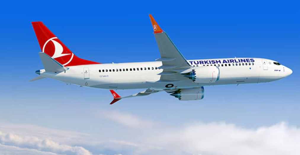 Musa Alioğlu: THY, vergi cennetine ne şirketi kuruyor?