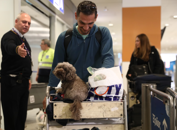 BAE’den tahliye uçuşu: “Kedim, köpeğim bagaj değil asla uçmam”