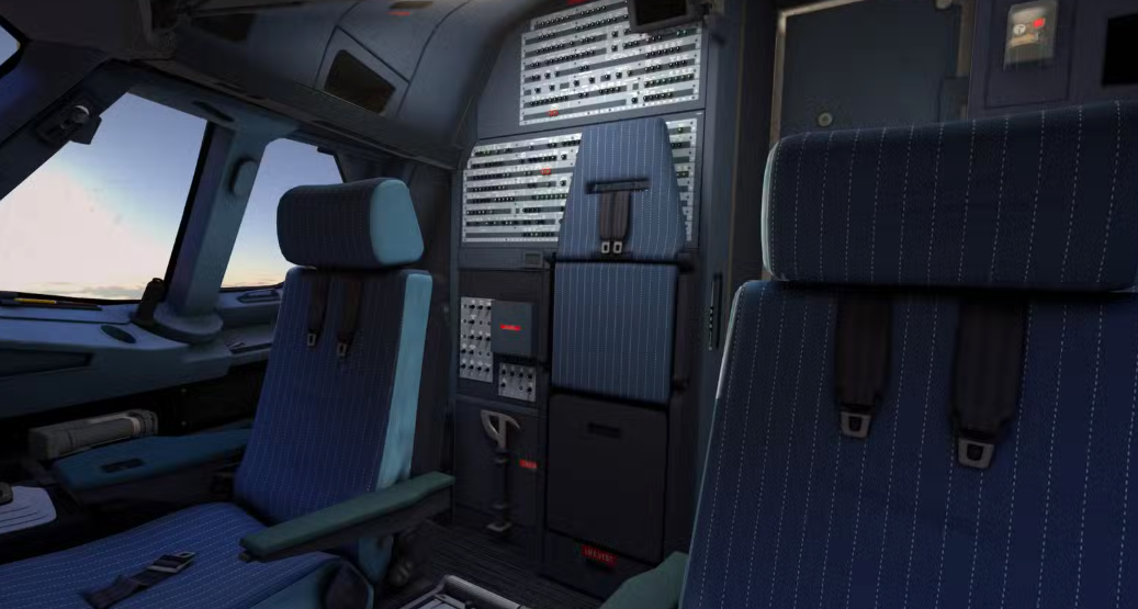 2 yolcu kokpitte yolculuk ederse!