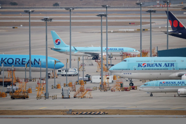 Korean Air, uçuşlarda horozların taşınmasını yasakladı