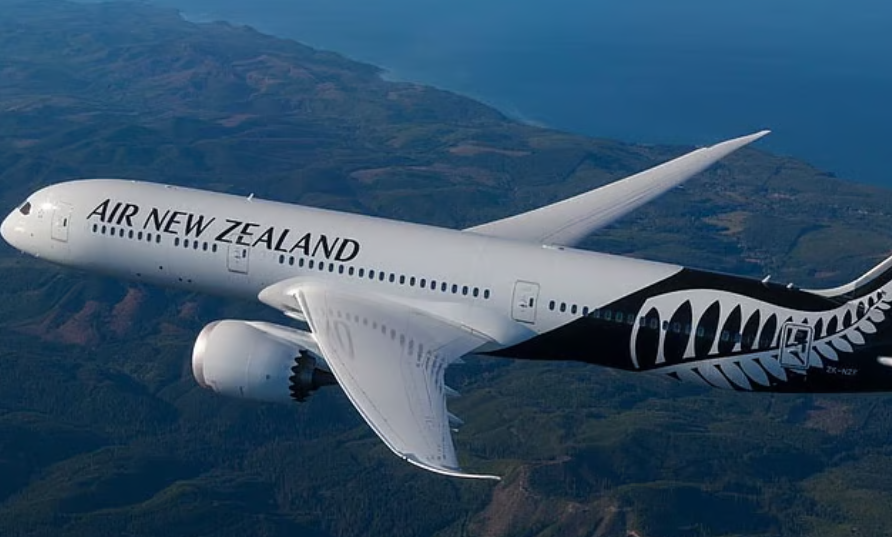Pilotlar arasındaki anlaşmazlık nedeniyle Air New Zealand yolcuları 14 saat boyunca mahsur kaldı
